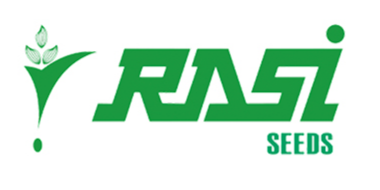 rasi-seeds