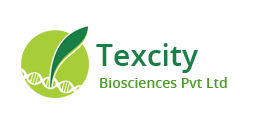 texcity-biosciences